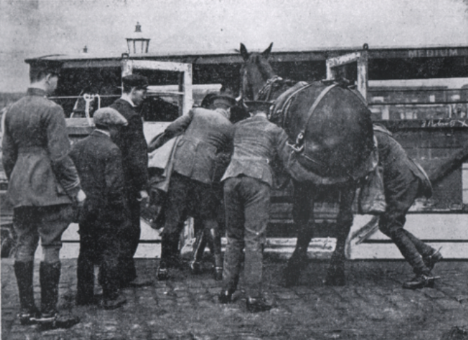 Manchester-Territorials-load-horses-Cross-Lane-Station.webp